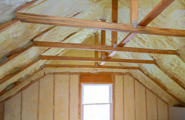 Best Geographic-Specific Insulation Services in Spencer, TN